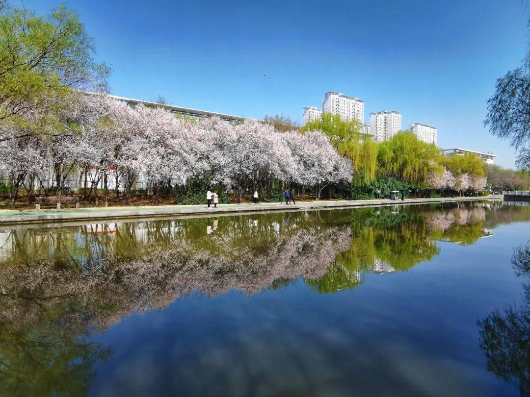 洛阳十大必去景点推荐，洛阳旅游攻略景点大全