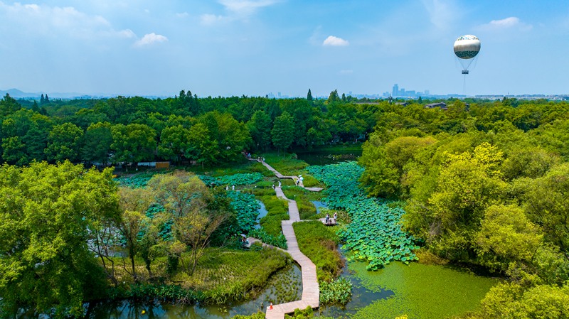 杭州旅游必去十大景点：天堂之城的绝美画卷插图6