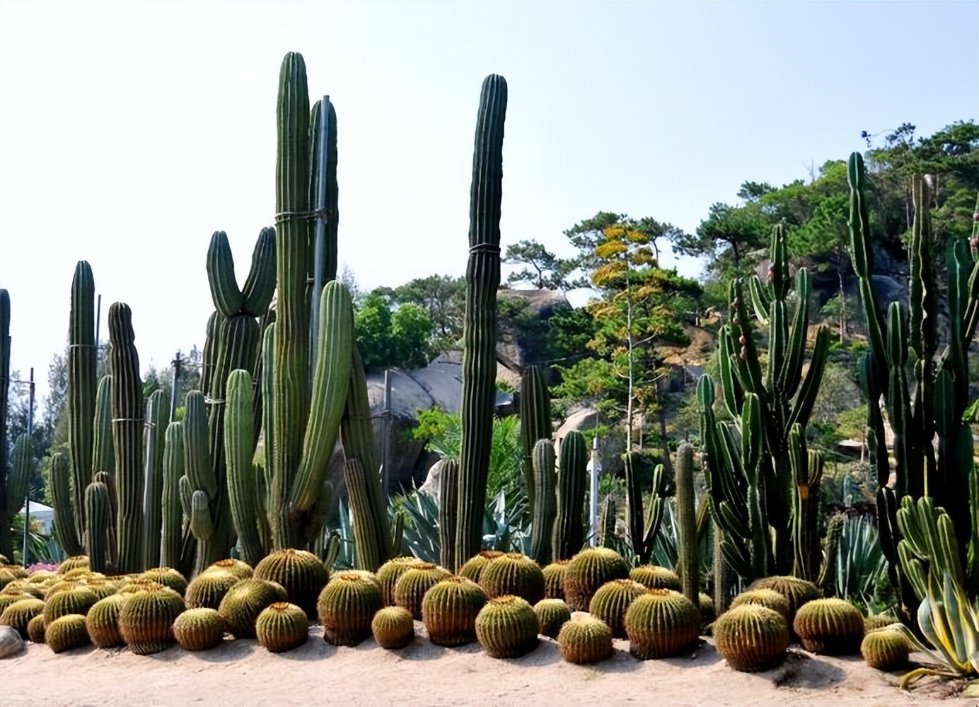 厦门旅游必去十大景点，厦门旅游景点排行榜前十名插图10