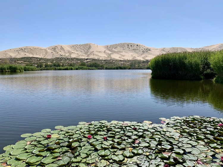 禹州景点必去十大景点有哪些？禹州旅游必去十大景点排行插图4