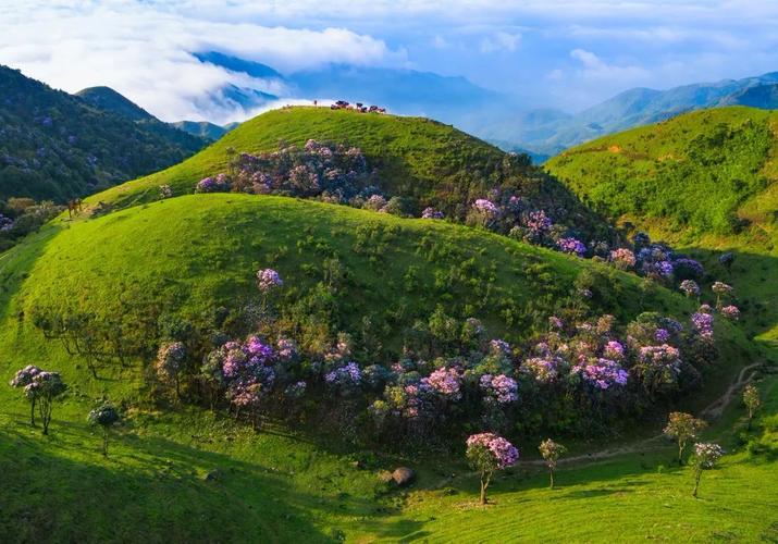 阳江十大旅游景点推荐，阳江旅游必去十大景点排行插图9