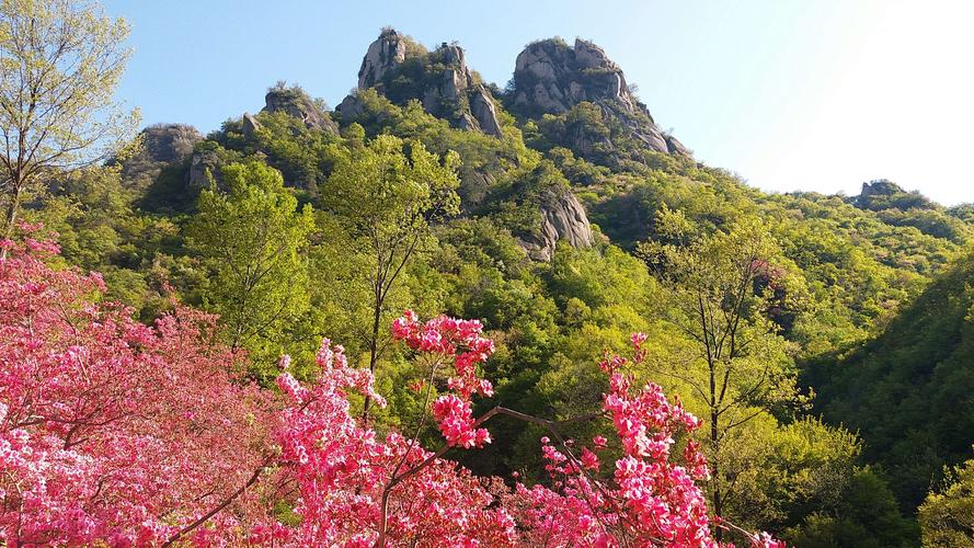 汝阳旅游必去十大景点，汝阳旅游景点排行榜前十名插图