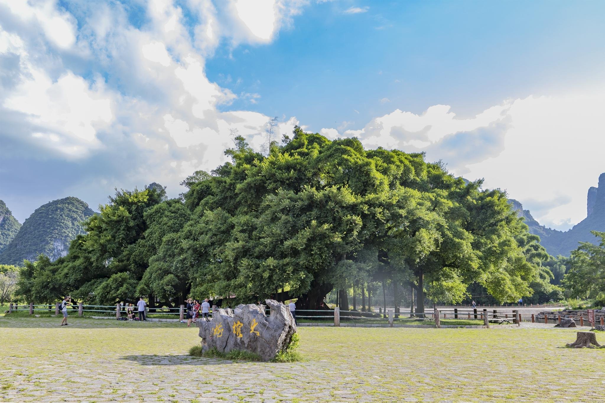 阳朔旅游必去的十大景点有哪些？阳朔旅游必去景点排行榜前十名插图3