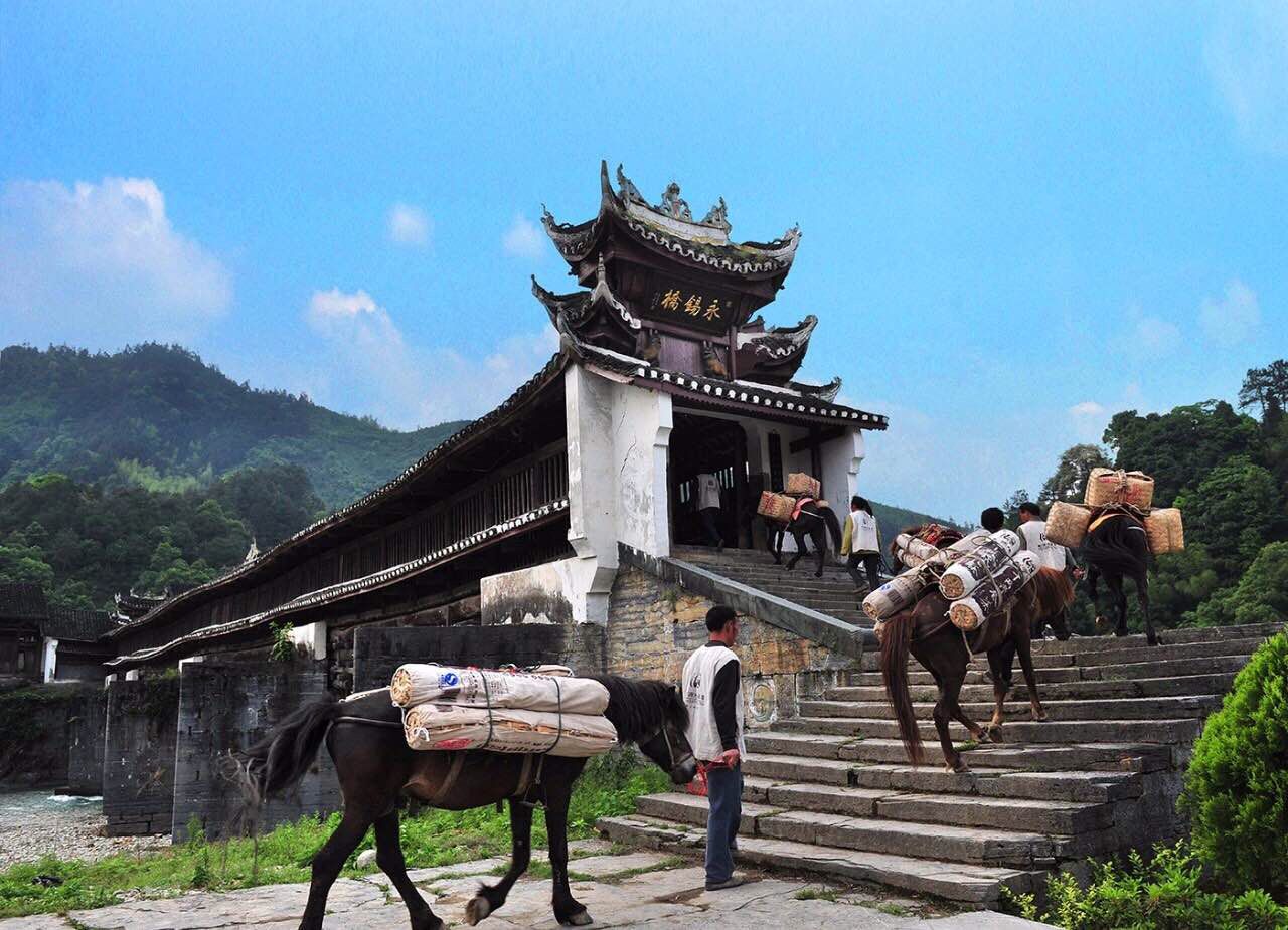 湖南旅游必去十大景点有哪些？湖南旅游必去景点排行榜前十名插图10