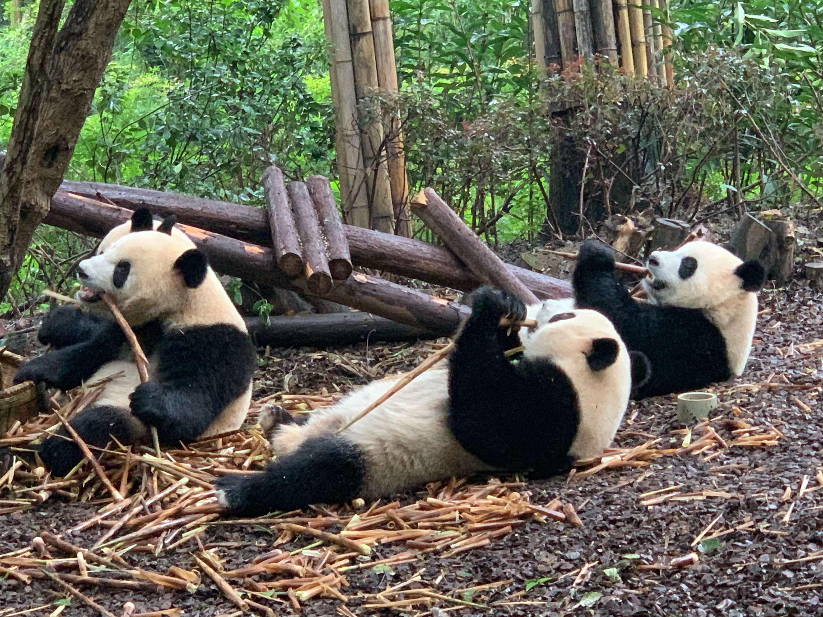 国内暑假十大旅游胜地有哪些？国内暑假旅游胜地排行榜前十名插图7