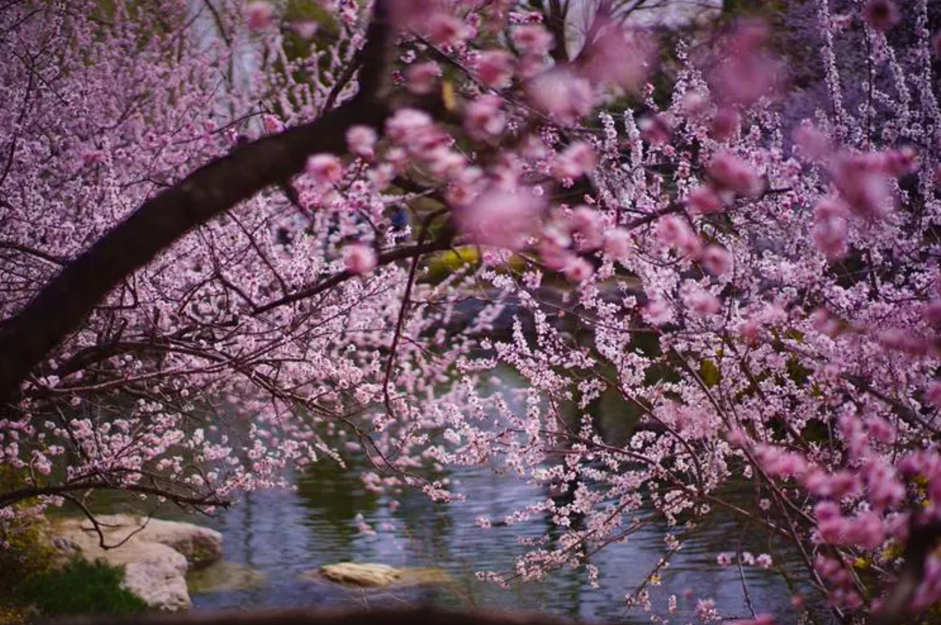 安康市旅游攻略景点大全，安康旅游必去十大景点有哪些？看这里！插图3