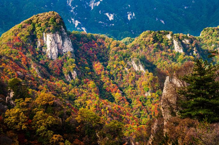 河南省旅游攻略景点大全，河南旅游必去十大景点有哪些？看这里！插图9