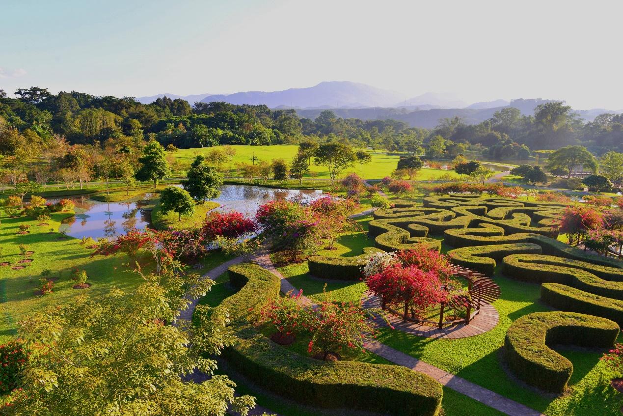 西双版纳旅游十大必去景点有哪些？西双版纳旅游必去景点排行榜插图